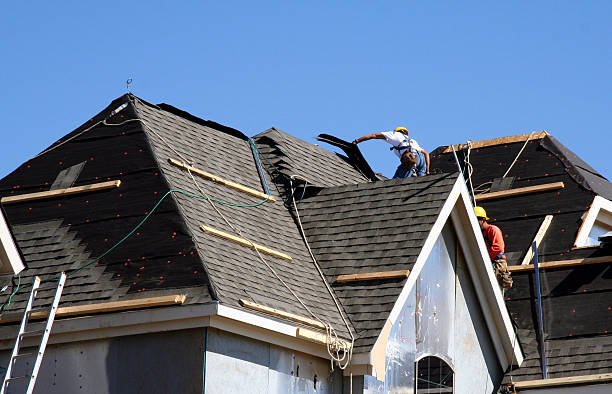 Best Roof Repair Services  in Morton Grove, IL