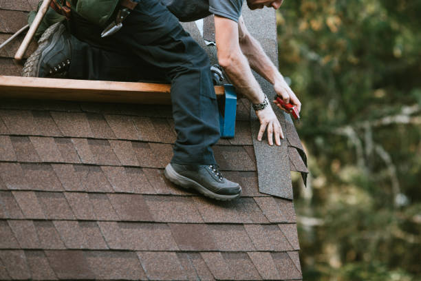 Best Storm Damage Roof Repair  in Morton Grove, IL