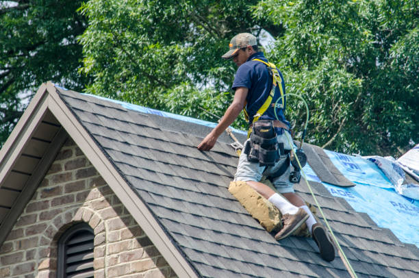 Best New Roof Installation  in Morton Grove, IL